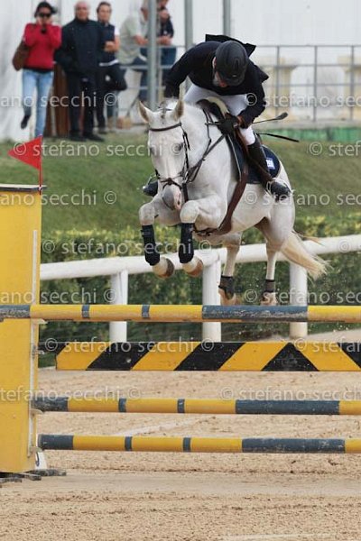 DEL COVILLO_NIAGARA_GIO CAV 2011_SS3_8558.jpg